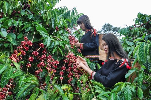 du-lich-buon-ma-thuot