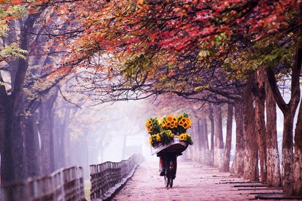 Vé máy bay khuyến mãi đi Hà Nội