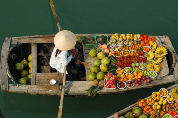 cho-noi-phong-dien