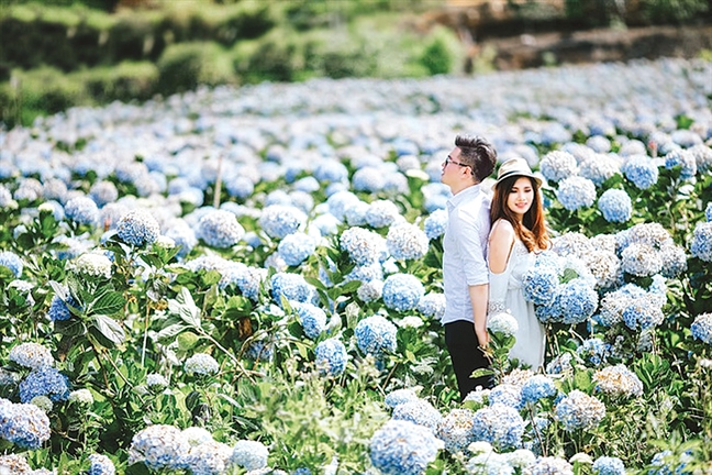 Vé máy bay Hà Nội Đà Lạt